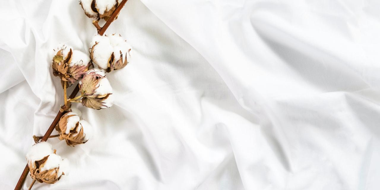 Organic Cotton Bedsheets